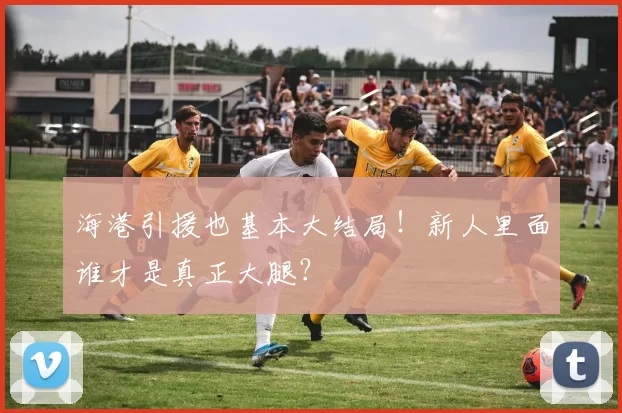 海港引援也基本大结局！新人里面谁才是真正大腿？