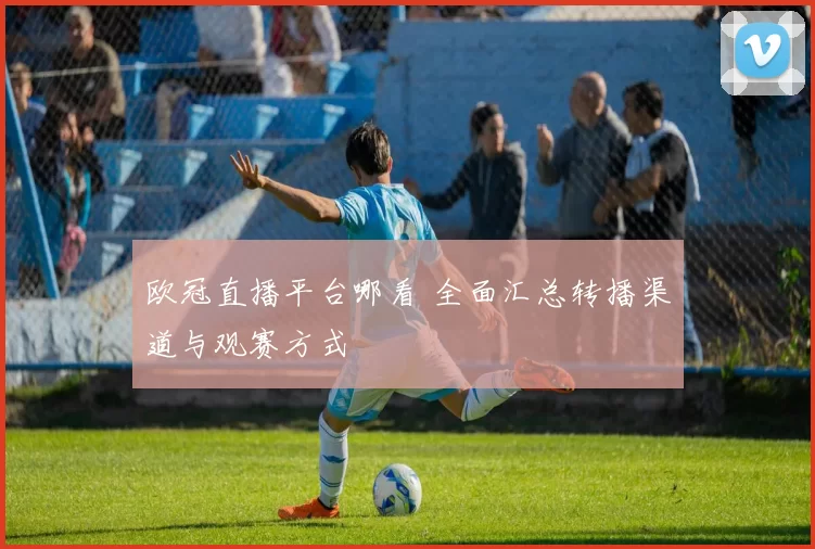 欧冠直播平台哪看 全面汇总转播渠道与观赛方式