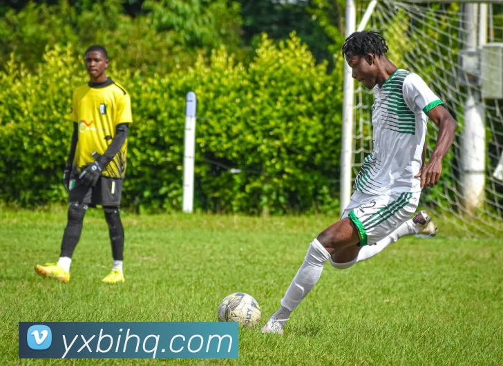 leyu-乐鱼体育APP 封面图